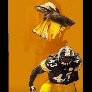 Meet your Posher, Steve